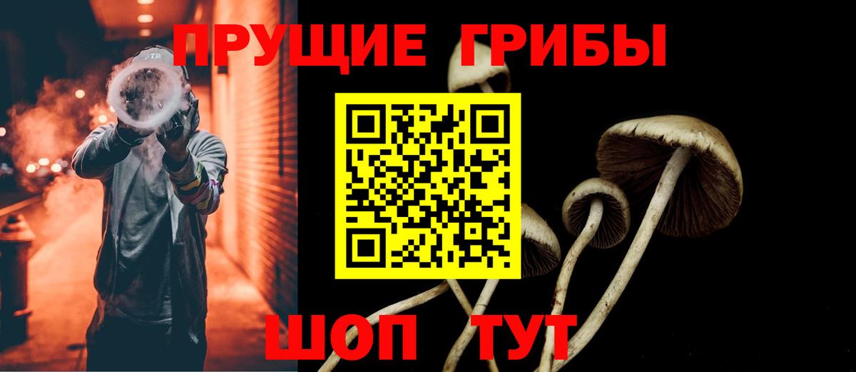 Галлюциногенные грибы Psilocybine cubensis  Вход с VPN  Луховицы 